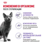 Корм сухой ROYAL CANIN Sterilised 37 1.2кг для стерилизованных кошек — изображение 2