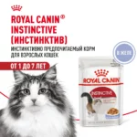 Корм влажный для кошек ROYAL CANIN Instinctive 85г желе пауч
