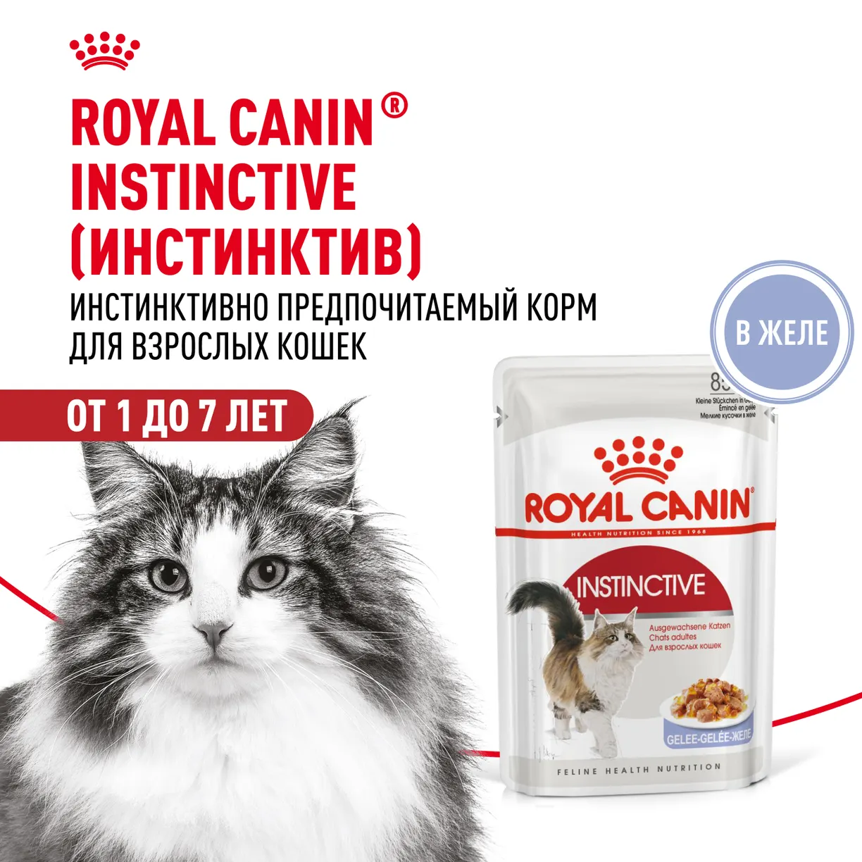 J5Iiw4pnP0I11F4v8Q3q2ch_ZUX4T-KMgIYNUy2n1Lw= Корм влажный для кошек ROYAL CANIN Instinctive 85г желе пауч — изображение 1