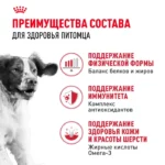 Корм для собак ROYAL CANIN средних пород 3кг — изображение 3
