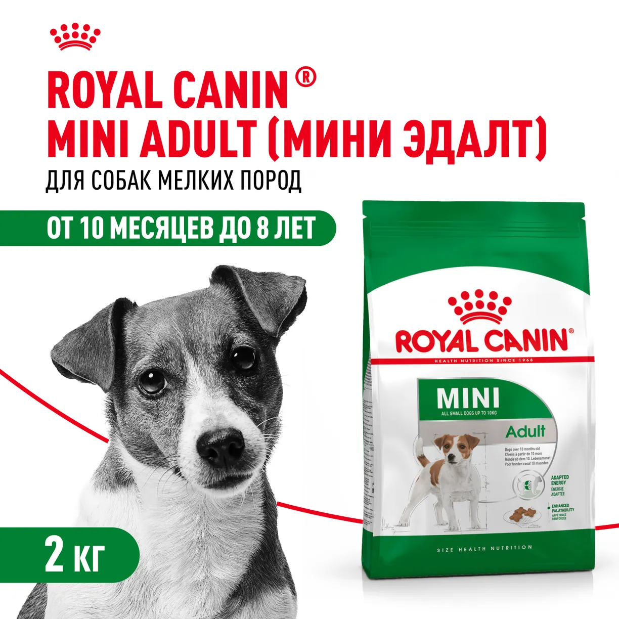 NQcQwQVEVZpd1iXN79d-vEkyIMoEWf5vgjOAOPUuGck= Корм для собак ROYAL CANIN мелких пород 2кг — изображение 1