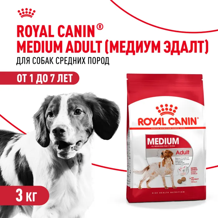 ubV7-N25Q60rNhgvN7aUcuTLwSo985elUDNp3KTMFRs= Корм для собак ROYAL CANIN средних пород 3кг — изображение 1