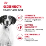 Корм для собак ROYAL CANIN средних пород 3кг — изображение 2