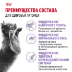 Корм сухой ROYAL CANIN Sterilised 37 1.2кг для стерилизованных кошек — изображение 3