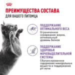 Корм влажный для кошек ROYAL CANIN Instinctive 85г желе пауч — изображение 3